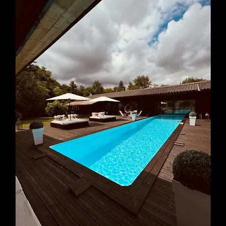 Des Chateaux Du Pessac Leognan 别墅 *