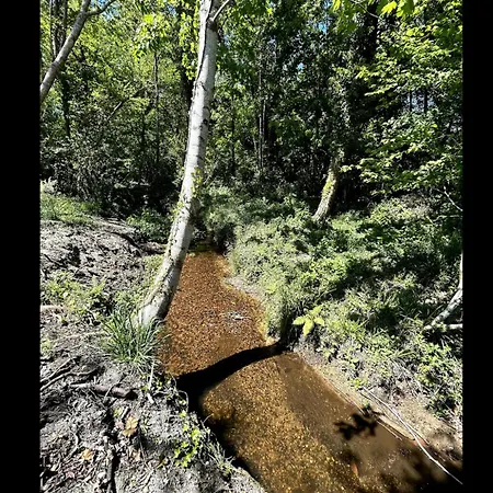 Des Chateaux Du Pessac Leognan 别墅 *