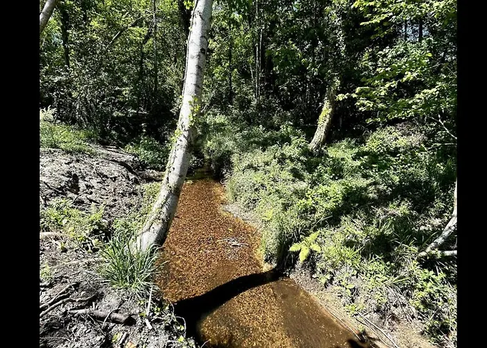 Des Chateaux Du Pessac Leognan Villa *